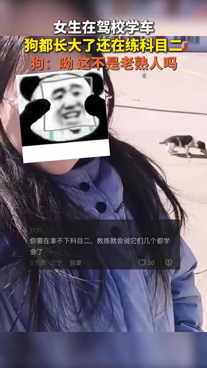 女生在驾校学车，狗都长大了还在练科目二。